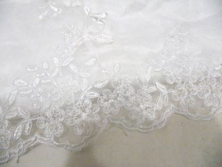 Detalhe da cauda