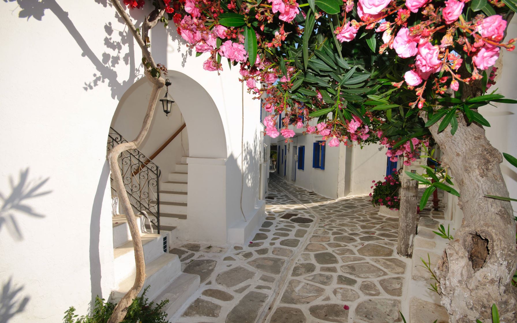 Como fazer sua lua de mel em Santorini, na Grécia, com economia