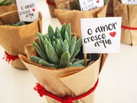 suculenta lembrancinhas de casamento DIY